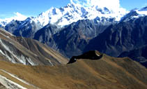 A rocky view of Langtang