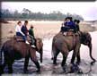 Chitan package tour, Elephent riding tour,Chitawan national park wildlife safari tours
