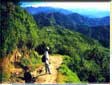 Hiking tour in Nepal, Helambu, Trekking trail of helambu region....